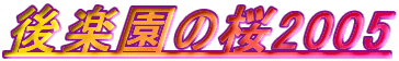 y̍2005