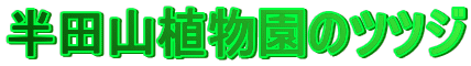 cRÃccW