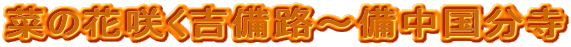 菜の花咲く吉備路〜備中国分寺