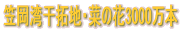 笠岡湾干拓地・菜の花3000万本